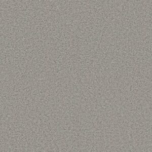 RENEWED ENERGY I by Shaw Floors - Thin Ice