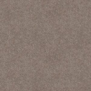 TRUSOLUTIONS III by Shaw Floors - Taupe Dream