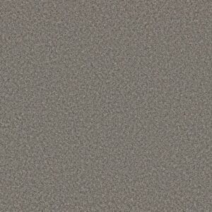 FEELIN' ALRIGHT by Shaw Floors - Washed Suede