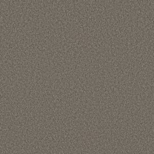 TONAL COMFORT BLUE by Shaw Floors - French Market