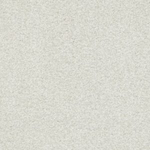 TONAL COMFORT BLUE by Shaw Floors - Warm Blanket