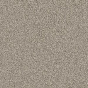 TWEED COMFORT I by Shaw Floors - Got The Giggles