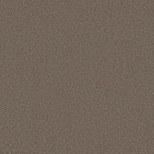 TWEED COMFORT II by Shaw Floors - Gathering
