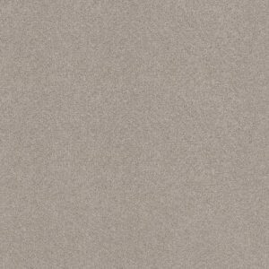 TONAL COMFORT I by Shaw Floors - Shoreline Haze