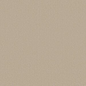AWAKEN SPIRIT II 15' by Shaw Floors - Windfresh