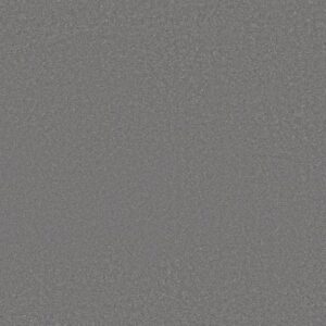 AWAKEN SPIRIT I by Shaw Floors - Magnetic