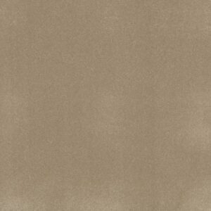AWAKEN SPIRIT I by Shaw Floors - Muffin