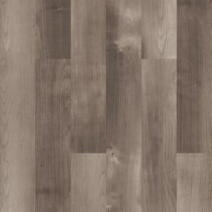 Symbiotic 5.0 by Shaw Floors - Mesa