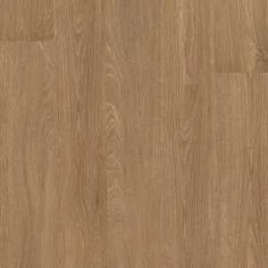 Symbiotic 5.0 by Shaw Floors - Reed