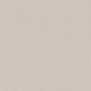 WARM MEMORIES by Shaw Floors - Cake Frosting