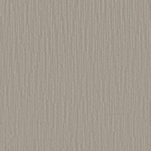 MAKING MEMORIES by Shaw Floors - Chill In The Ai