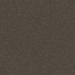 POSH LIFE by Shaw Floors - Urban Rustic