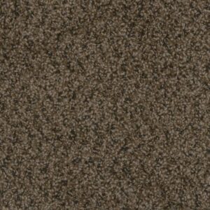 STEP UP by Dreamweaver - Rustic Charm 383