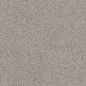 ACROSS THE BAY by Shaw Floors - Silver Screen