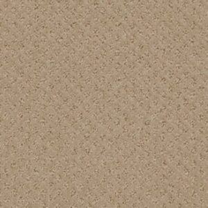 MY EXPRESSION by Shaw Floors - Carnoustie