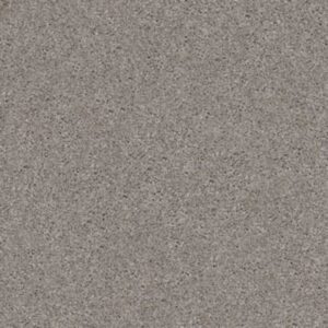 QUIET COMFORT CLASSIC I by Shaw Floors - Pacific