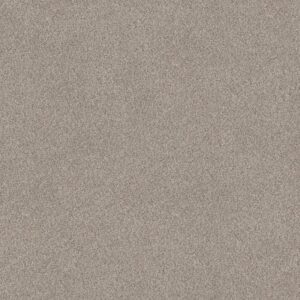 DELICATE DISTINCTION CLASSIC II by Shaw Floors - Heath