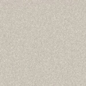 QUIET COMFORT CLASSIC I by Shaw Floors - Bismuth