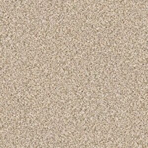 DEVON CLASSIC II by Shaw Floors - Cavern