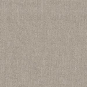 SENSIBLE NOW by Shaw Floors - Quiet Moment