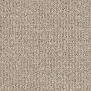 SENSIBLE NOW by Shaw Floors - Park Avenue
