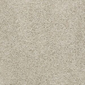 AROUND THE HOUSE II by Shaw Floors - City Scape