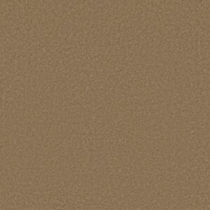 TIMELESS APPEAL I 12' by Shaw Floors - Muffin