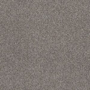 WITHIN REACH II by Shaw Floors - Shoreline