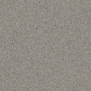 BEAUTIFULLY SIMPLE II 12 by Shaw Floors - Nickel