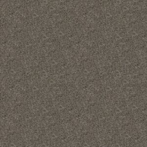 BREAK AWAY (T) by Shaw Floors - Washed Suede