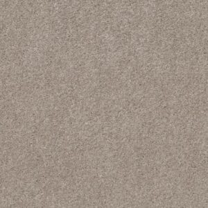 VALIANT by Shaw Floors - Quiet Moment