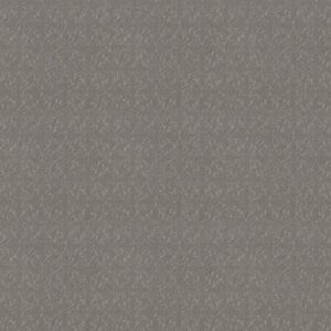 LIGHT IMPRESSIONS by Shaw Floors - Vintage