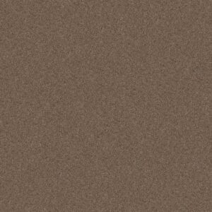 LIVE ON COMFORT by Shaw Floors - Classic Caramel