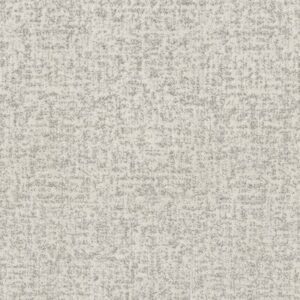 HOME WITHIN by Shaw Floors - Snowfall