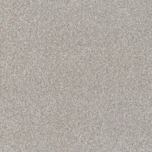 YES YOU CAN I 15' by Shaw Floors - Frozen