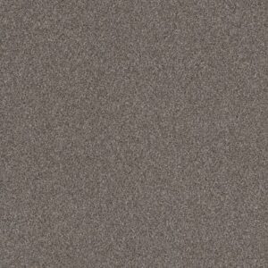 RIGHT CHOICE by Shaw Floors - Baltic Stone