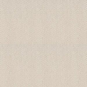 NATURALISTIC by Shaw Floors - Champagne Toast