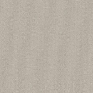 FINE TAPESTRY by Shaw Floors - Baltic Stone