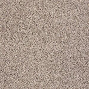 TAKE THE FLOOR ACCENT II by Shaw Floors - Everest
