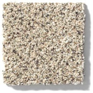 TAKE THE FLOOR ACCENT I by Shaw Floors - Luna