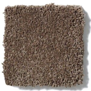 CASHMERE I by Shaw Floors - Great Plains