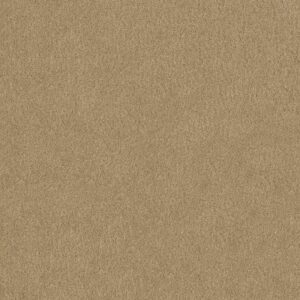 SALINA I by Shaw Floors - Macadamia
