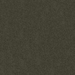 SALINA I by Shaw Floors - Worn Pewter