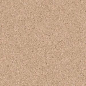 QUIET COMFORT I by Shaw Floors - Maplewood North