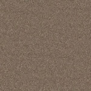 QUIET COMFORT CLASSIC II by Shaw Floors - Mesquite