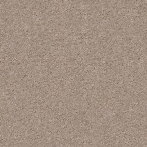 QUIET COMFORT I by Shaw Floors - Oxford