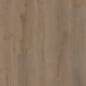 DISTINCTION PLUS by Shaw Floors - Villa Oak