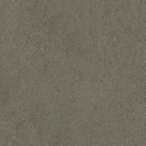 EMBARK by Shaw Floors - Pewter