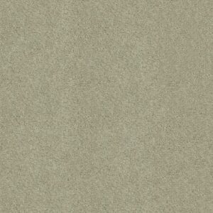 EMBARK by Shaw Floors - Haven