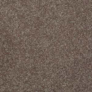 CHALLENGE ACCEPTED I 15; by Shaw Floors - Briar Patch